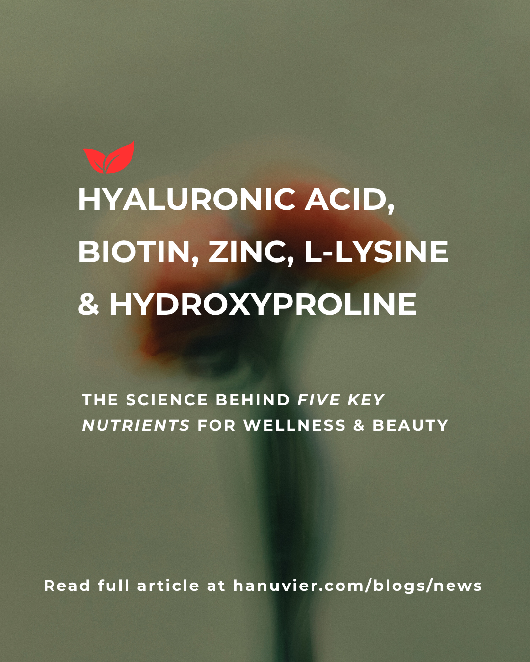 Hyaluronic Acid, Biotin, Zinc, L-Lysine & Hydroxyproline: The Science Behind Five Key Nutrients for Wellness & Beauty