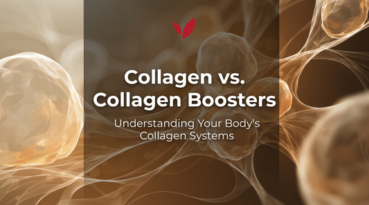 Collagen vs. Collagen Boosters cover image