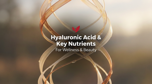 Hyaluronic Acid, Biotin, Zinc, L-Lysine and Hydroxyproline cover image