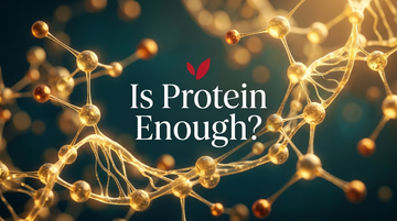 Is Protein Enough? - two-line centered title with crimson red Hanuvier leaves over glowing molecular nutrient network on teal background
