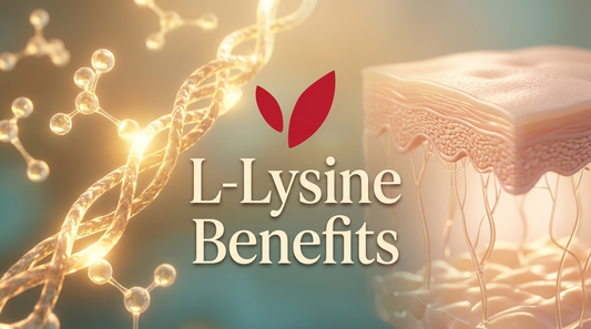 L-Lysine Benefits amino acid, collagen and skin illustration